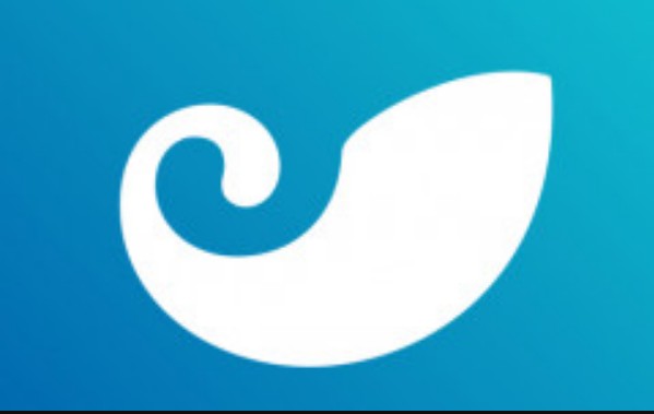 cloud token云钱包罗纳德(cloud钱包是骗局吗)